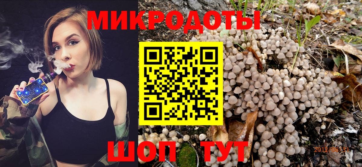 Псилоцибиновые грибы мицелий Азнакаево