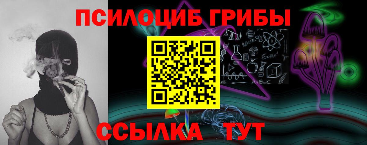 закладки  Вход с VPN  Псилоцибиновые грибы GOLDEN TEACHER  Азнакаево  Галлюциногенные грибы Magic Shrooms 